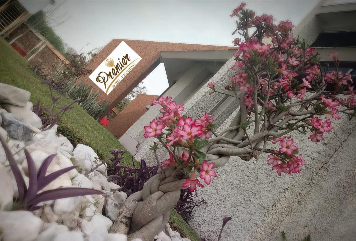 Hotel Premier Rio Verde Exterior photo